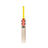 Gray-Nicolls Havoc Warrior