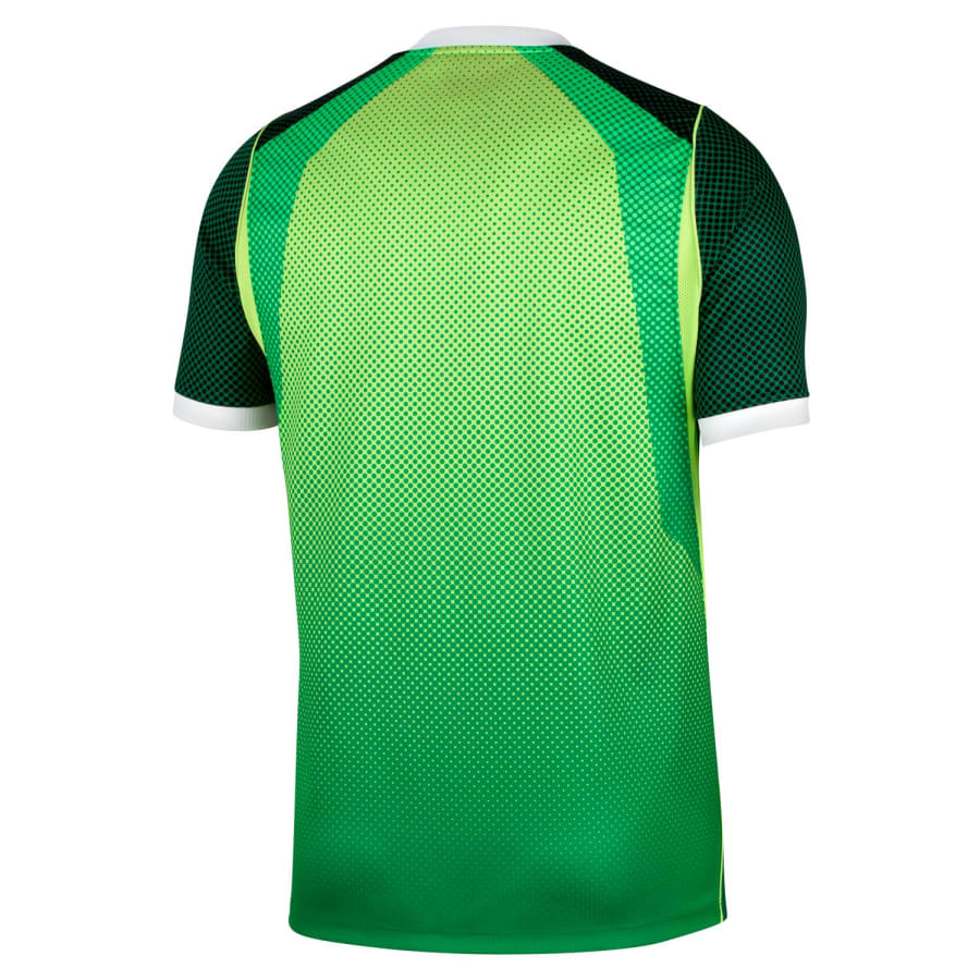 Nike Nigeria Home 26/27 Soccer Jersey