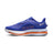 Nike Pegasus Premium