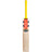Gray-Nicolls Havoc Test SH