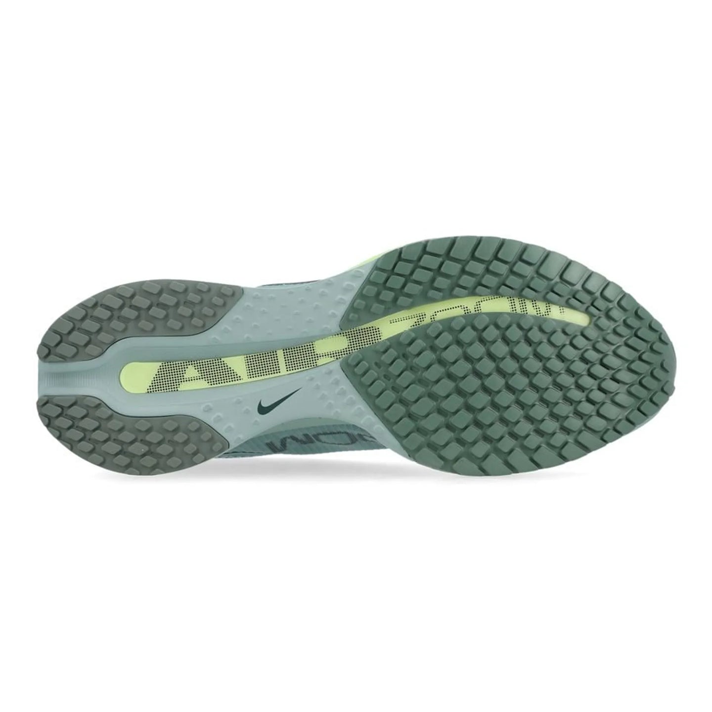 Nike Pegasus Premium Men