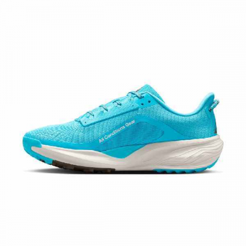 Nike ACG Pegasus Trail