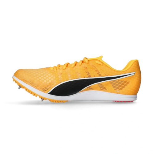 Puma EvoSpeed Distance 11