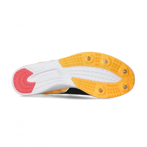 Puma EvoSpeed Distance 11
