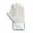 SS Leo 2.0 Wicket Keeping Gloves
