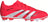 Adidas Predator Club Junior FG