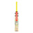 Gray-Nicolls Tempesta 1.0 Player SH
