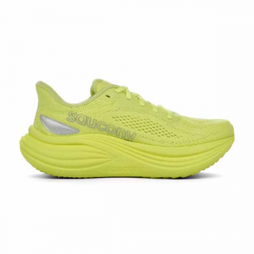 Saucony Triumph 24 Ladies