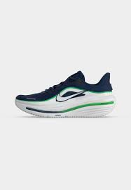 Nike Air Winflo 12 men